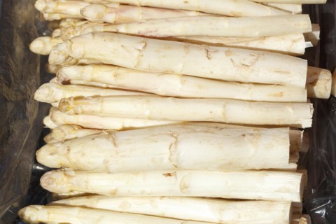 Fresh asparagus on a market stall