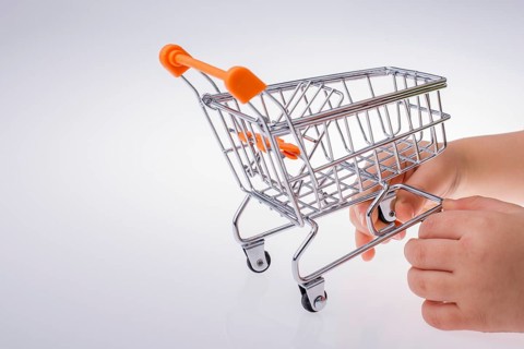 Shopping cart in the hand on white background