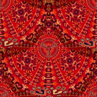 Romanian embroidery seamless pattern vector design