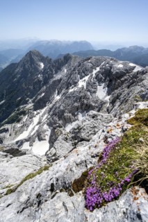 Mountain landscape