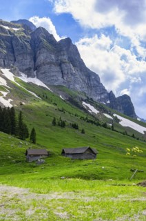 Mountain panorama at the foot of the Saentis on the Schwaegalp
