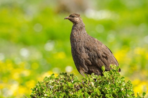 West Coast National Park
