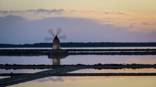 Windmill at sunset