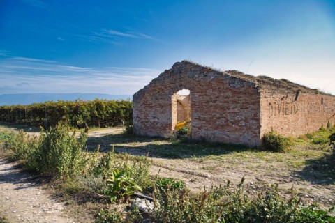Old winery building