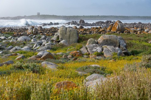 Mauritzbaai