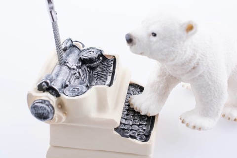 Polar bear cub on the roof of a model house mado of roof