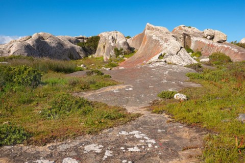Postberg Section