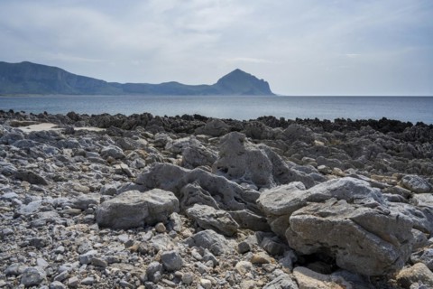 Rocks on the coast