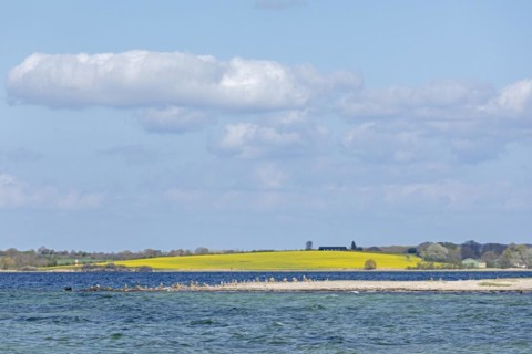 Headland