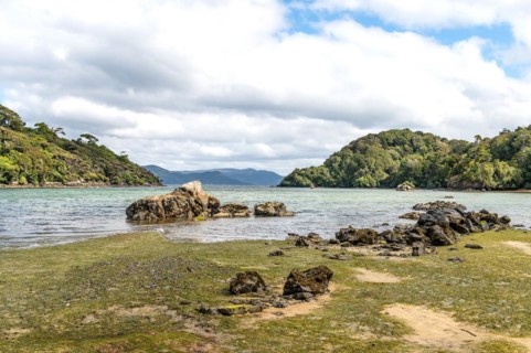 Deep Bay