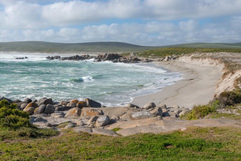 Plankiesbaai