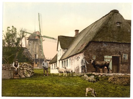 The mill in Munkmarsch on Sylt
