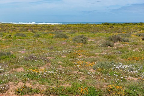 Postberg Section