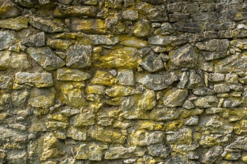Historic town wall in the Dortelweil district