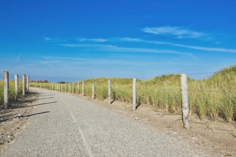 Road surrounded by fence with wooden planks leading through protected landscape on island Texel in the Netherlands