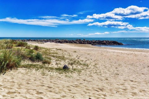 Coastline