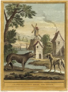 The Wolf and the Thin Dog