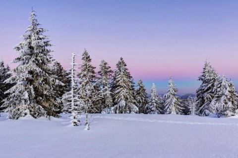 Winter landscape in the Black Forest