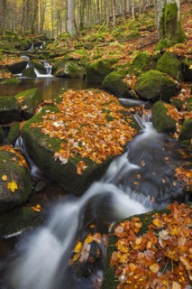 Waterfall on the Kleine Ohe