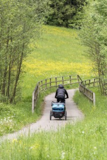 Cyclist with trailer riding on cycle path through meadow in a forest with bridge