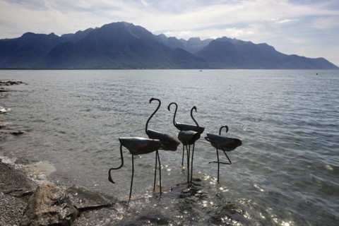 Metal swans