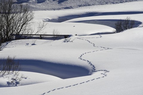 Meander in Schoenfeld
