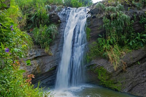 Concord Falls