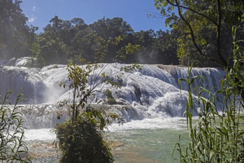 Cascadas de Agua Azul