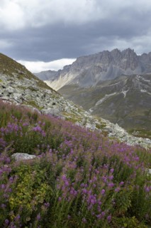 Col du Galibier