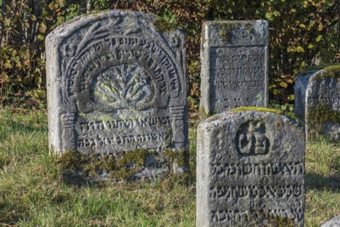 Jewish gravestones with symbols