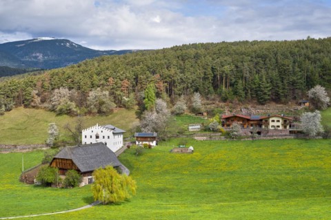 Castelrotto