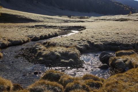 The Kremsbach in Schoenfeld