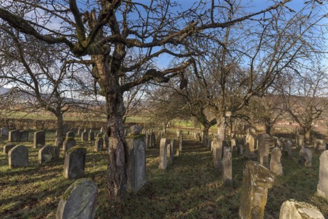 Historic Jewish cemetery