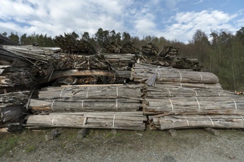 Stacked slabs from a sawmill