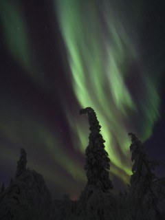 Northern Lights over Pallas-Yllaestunturi National Park