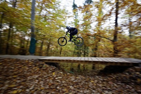 Woodpecker Trail