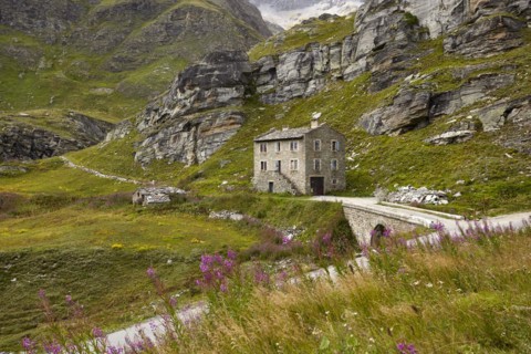 Pied Montet