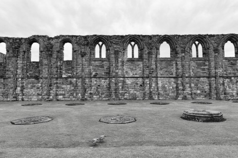 Ruined Cathedral
