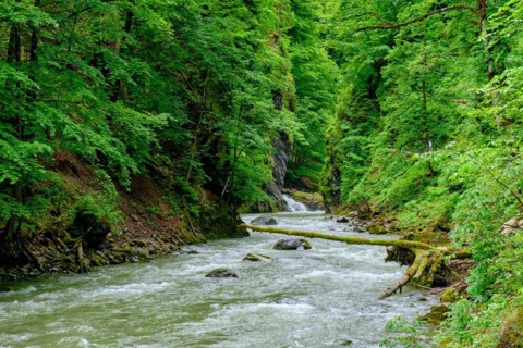 Breitach mountain river and Breitach gorge