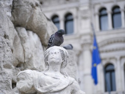 Dove on the head of a figure on the fountain in Piazza dell'Unita d'Italia