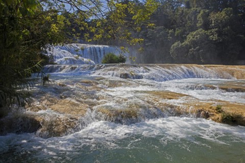 Cascadas de Agua Azul