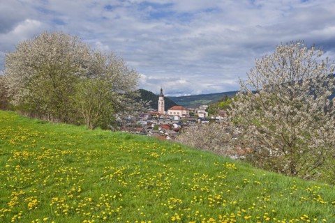 Castelrotto with blossoming trees