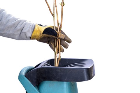 Man using garden shredder