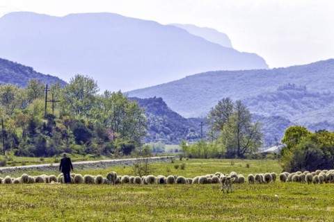 In the valley of the Vjosa