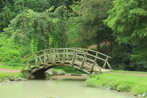 Wooden bridge and arch bridge