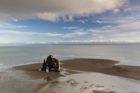 Hvitserkur