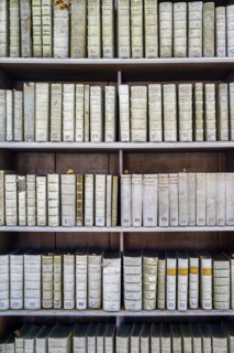 Books bound in pigskin