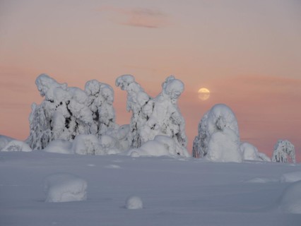 Full moon with day-night boundary and snow-covered trees over Pyhae-Luosto National Park