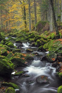 Waterfalls on the Grosse Ohe river which flows through the Steinklamm valley