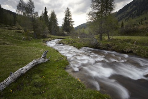 The Kremsbach in Schoenfeld